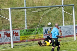 2012-06-16-A_Gegentor_Homep.jpg