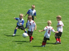 2011-Sommerturnier-4_800x600_01.jpg