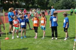 IMG_2895.jpg