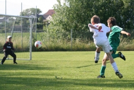 2013_e4303c5e45.jpg