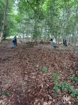 Foto1.JPG