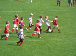 2011-Sommerturnier-5_800x600_01.jpg