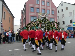 P1030040.JPG