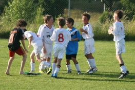 2013_cf954459e7.jpg