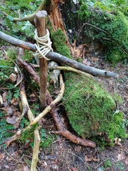 Foto15.JPG