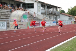 IMG_5084.JPG